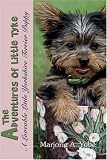 The Adventures of Little Tyke: A Loveable Little Yorkshire Terrier Puppy