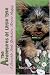 yorkshire terrier - The Adventures of Little Tyke: A Loveable Little Yorkshire Terrier Puppy