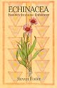 Echinacea: Nature's Immune Enhancer