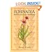 Echinacea: Nature's Immune Enhancer