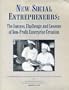New Social Entrepreneurs: The Success, Challenge and Lessons of Non-Profit Enterprise Creation