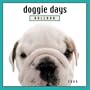 Doggie Days: Bulldog 2005 Calendar (Doggie Days)