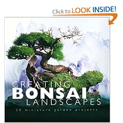 Creating Bonsai Landscapes: 18 Miniature Garden Projects