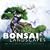 Creating Bonsai Landscapes: 18 Miniature Garden Projects