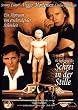 Schrei in der Stille