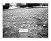 Graves of unknown Union soldiers, Gettysburg PA RePoster Print Poster by Ronald S Mosbaugh, 10x8