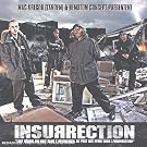Insurrection