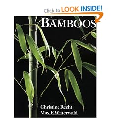 Bamboos