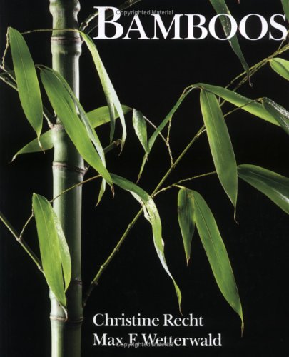 Bamboos