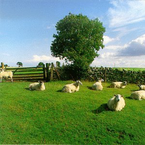 CD-Charts  Music : Chill Out