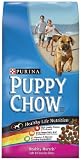 Purina Puppy Chow Healthy Life Nutrition Puppy Food, Healthy Morsels, 4.4 lbs (Pack of 6)