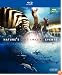 Nature's Most Amazing Events [Blu-ray]