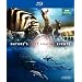 Nature's Most Amazing Events [Blu-ray]