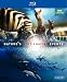 Nature's Most Amazing Events [Blu-ray]