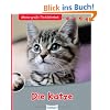 Die Katze