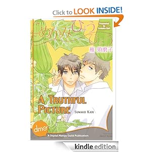 A Truthful Picture  [Kindle Edition]