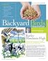 Backyard Bird Newsletter