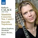 Mandolin Concerto No. 1, Op. 113: II. Largo tranquillo