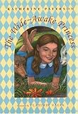 The Wide-Awake Princess