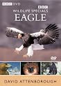 Wildlife Special - Eagle [DVD] [1997]