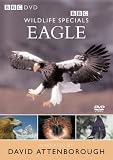Wildlife Special - Eagle [1997]