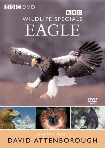 WILDLIFE SPECIALS : EAGLE DVD