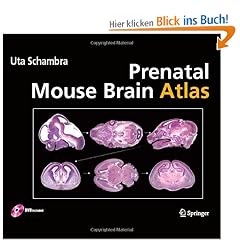 Prenatal Mouse Brain Atlas: Color images and annotated diagrams of: Gestational Days 12, 14, 16 and 18 Sagittal, coronal and horizontal section