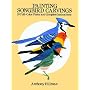 Painting Songbird Carvings: 16 Full-Color Plates and Complete Instructions