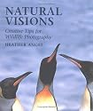 Natural Visions: Creative Tips for Wildlife Photography