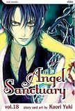 Angel Sancturary, Volume 18 (Angel Sanctuary)