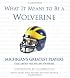 What it Means to Be a Wolverine: Michigan's Greatest Players, Talk about Michigan Football (What It Means)