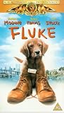 Review MGM Entertainment  / Fluke [1995]