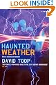 Haunted Weather: Music, Silence, and Memory (Five Star Paperback)