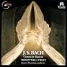 Bach: Complete Motets, BWV 225-230, BWV 118 at Amazon mp3: 51MWY7F6hvL._SL75_
