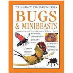 Bugs and Minibeasts (The illustrated wildlife encyclopedia)