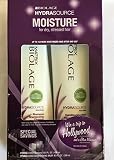 Matrix Biolage Hydrasourse Shampoo & Conditioning Balm Duo