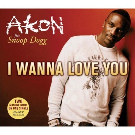 Akon Ft. Snoop Dogg - I Wanna Love You/Struggle Everyday - Zortam Music