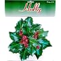 Sisson Imports Holly, Pack of 20