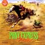 Pony Express Rider