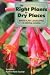 The Right Plants for Dry Places