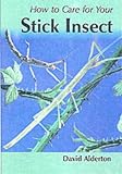 How to Care for Your Stick Insect