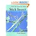 How to Care for Your Stick Insect