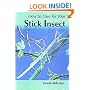 How to Care for Your Stick Insect