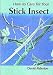 How to Care for Your Stick Insect