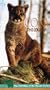 Wildlife: Coka The Cougar [VHS]