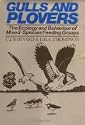Gulls and Plovers