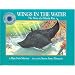 Wings in the Water:  The Story of a Manta Ray