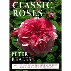 Classic Roses: The Revised And Expanded Edition