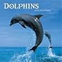 Dolphins 2005 Calendar