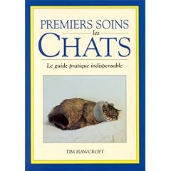 Premiers soins pour chats